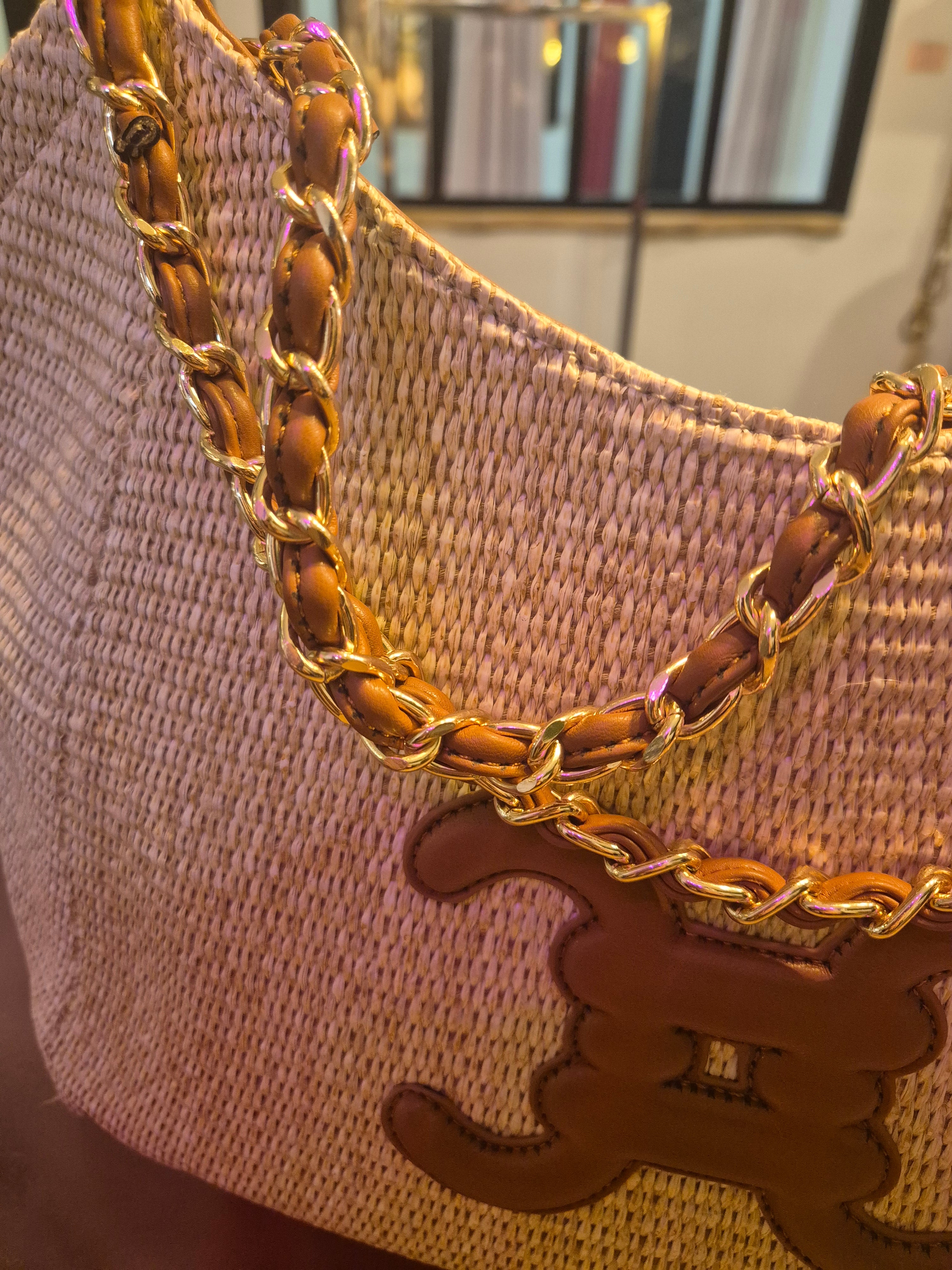 SAC LOGO C&C CAMEL